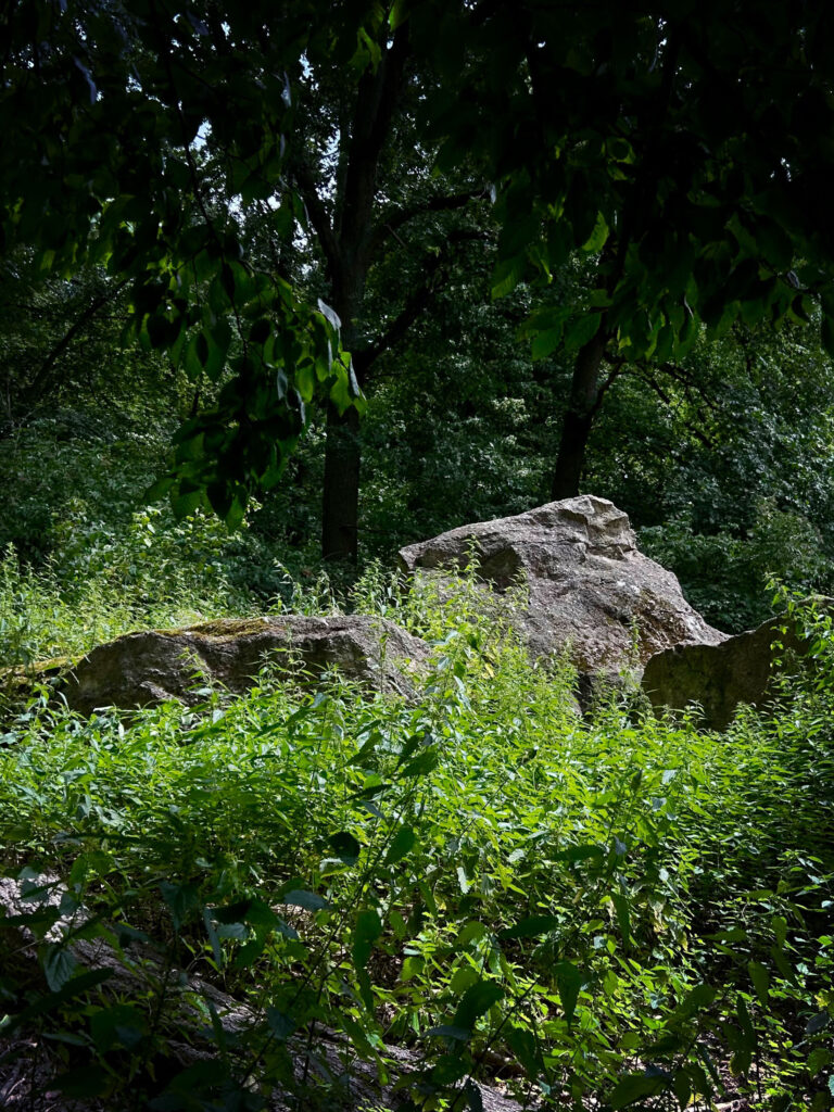 Bunker remains in Tiergarten, Berlin