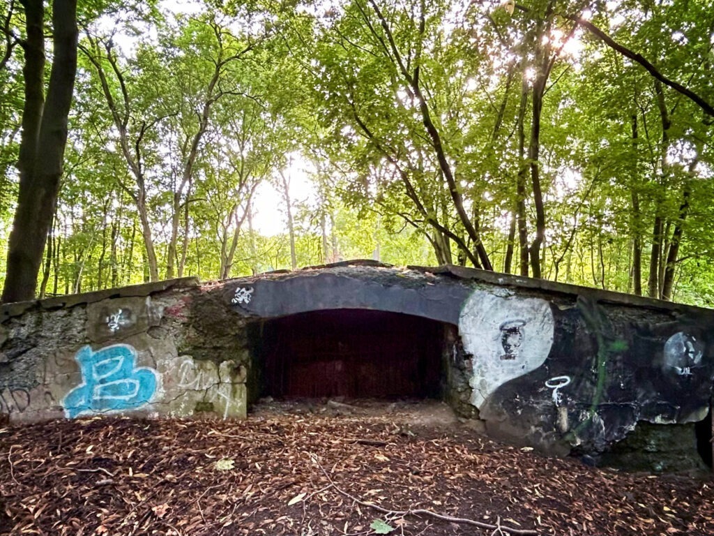 Schönholzer Heide中的Luna地堡