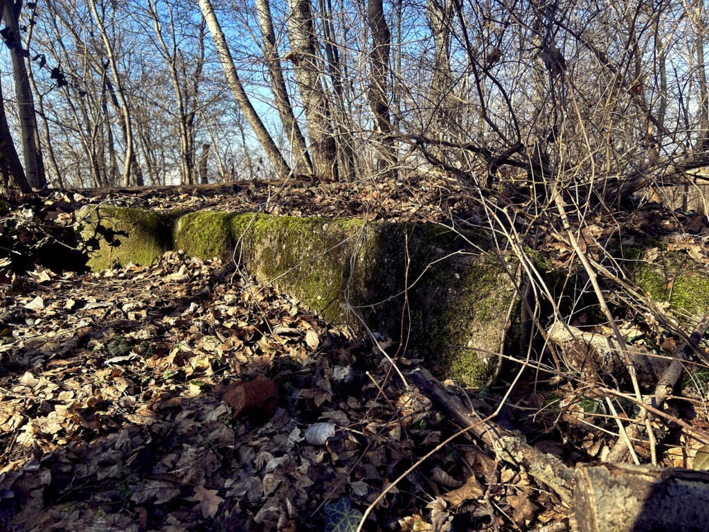 Mosbevokset stykke af flaktårnet.