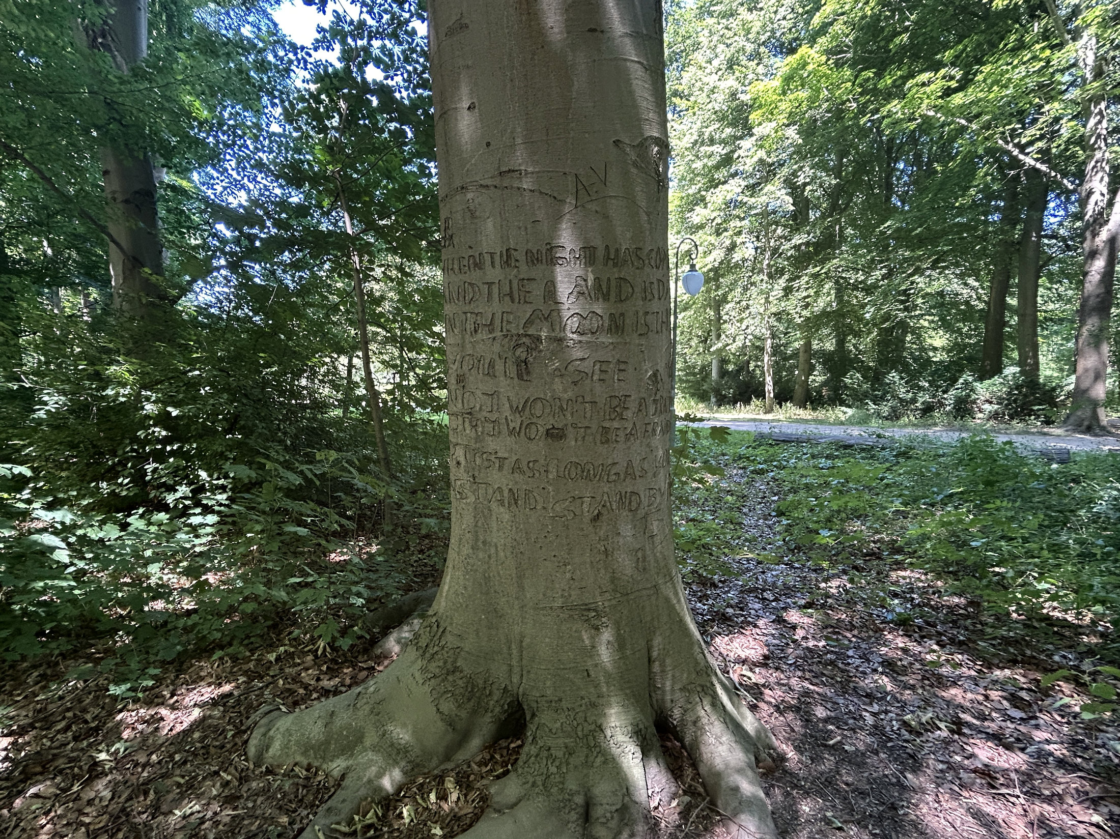 'Stand By Me' tree in Tiergarten, Berlin.