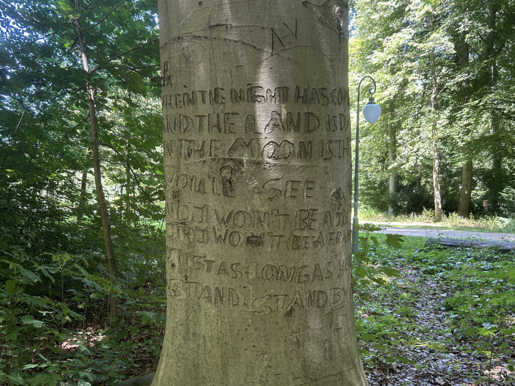 Close up of the 'Stand By Me' tree in Tiergarten, Berlin.
