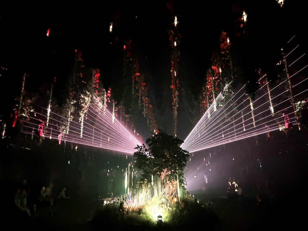 Forest season at Dark Matter.
