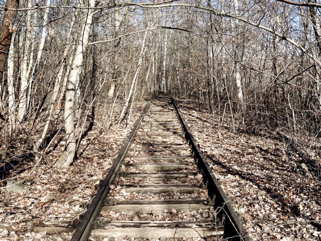 Jernbanespor i Südgelände-parken.