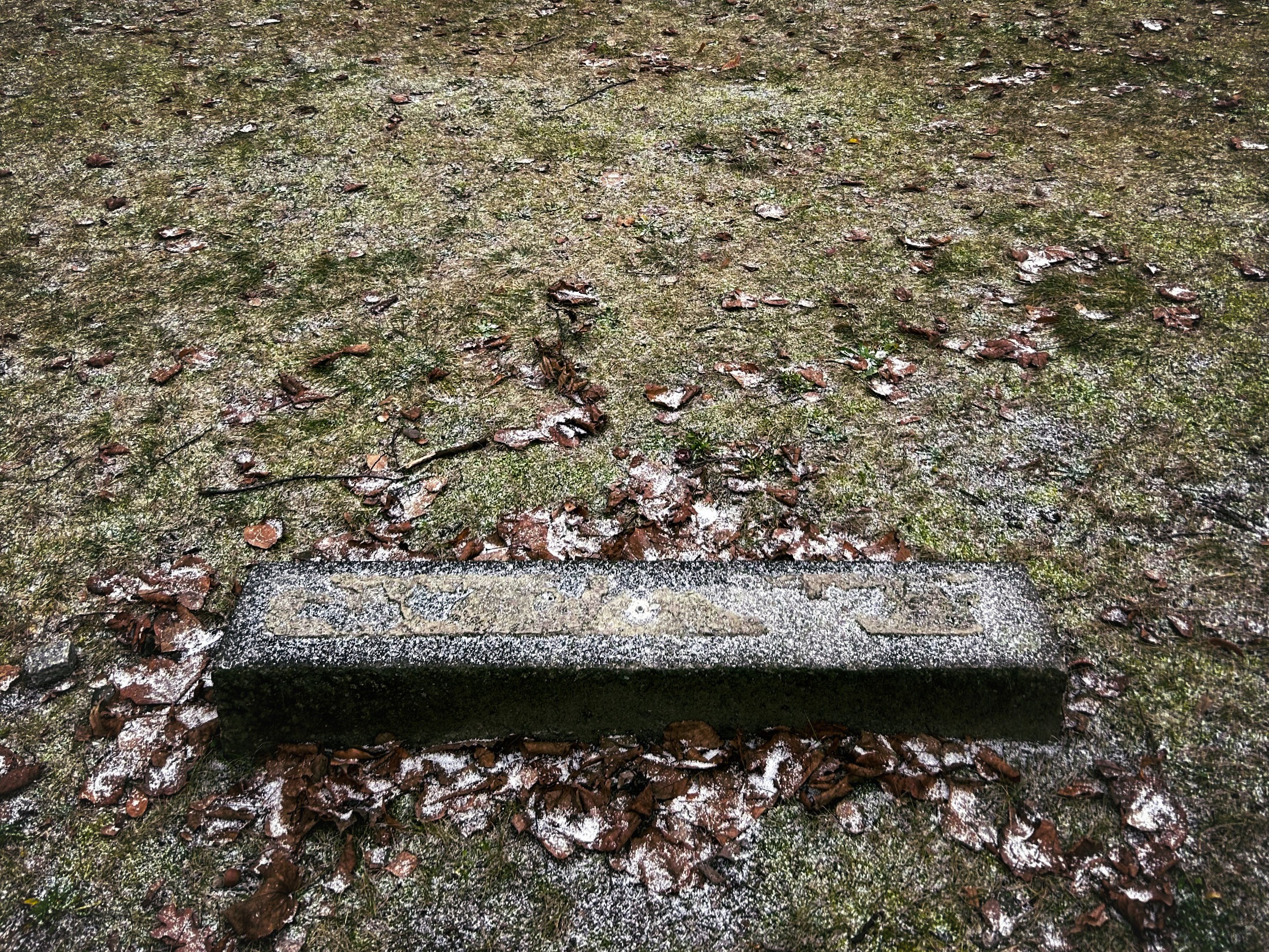 The Uncomfortable Afterlife of Nazi Graves